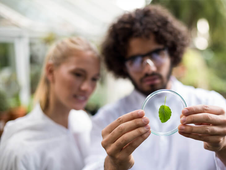 2 people looking at plant specimen